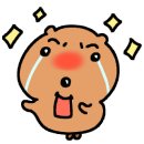 스토어원