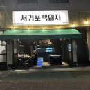 서귀포백돼지