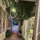 플로스 파트2(FLOS.PART2) 이미지