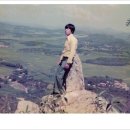 용오수산 Daum카페