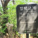 종친청산산악회 트레킹 이미지