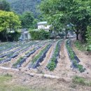 가천면사무소 앞 이미지