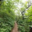 임걸령옹달샘 이미지