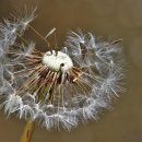 안녕하세요365 이미지