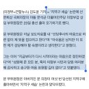 '세습공천 논란' 문석균(문희상 아들) 결국 출마 포기 (화력x) 이미지