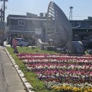 남파랑길 46일차(보성구간 ~ 고흥구간 63코스) 이미지