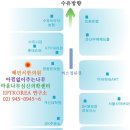 제8회 교사를 위한 에니어그램 & NLP & EFT & 내면아이 치유 자율연수 안내 (서울, 8/1- 8/5 ) 이미지