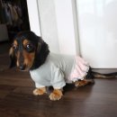 맘메이드하우스