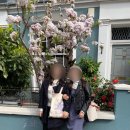 여자 혼자 유럽 자유여행｜한국인 동행 구하기 후기 & 꿀팁