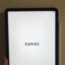 애플쉴드 이미지
