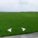 흥동 농장 이미지