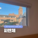 포항 게스트하우스 과메기 파티가 있는 가성비 숙소 피렌체