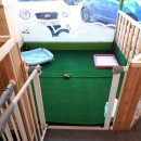 강아지를 미용하는 여자 이미지