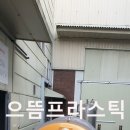 서원약품