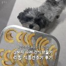 우신생고기 | 강아지 간식 만들기_리큅 간식 건조기, 수제 간식 레시피_내돈내산