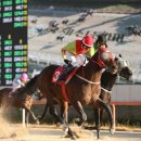 국제신문 이미지