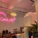 젤라잇(Gela, eat) 이미지