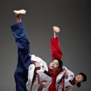 인성태권도 이미지