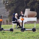 ㈜화이트투어 이미지