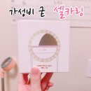 글로벌에스에스 이미지