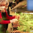 호천농장 이미지