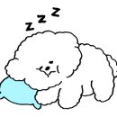 다원칼국수 이미지