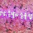 공배노모당 | 단양 온달관광지... (온달과 평강공주의 이야기)