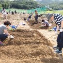 낙성대동-38 이미지