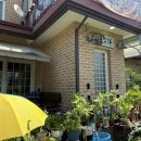 사파동343 이미지