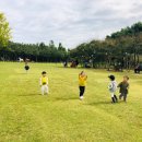 꽃동산어린이집 이미지