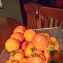 영난농장 이미지