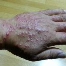 매콤이네 이미지