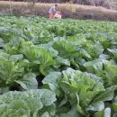 경희농원 이미지