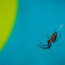 영은한의원 이미지