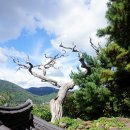 논공(대구) 이미지