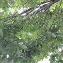 느티나무사우나 이미지