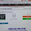 자바인강 후기, 코딩 한 번도 안 해본 쌩초보 주목, 맛보기인강