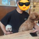 청주유기동물입양지원센터 개가 꿈꾸는 세상 | 청주 유기견입양지원센터 &#34;개꿈&#34; 아이와 함께 강아지카페 다녀오기