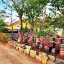 학여울펜션 이미지