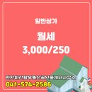 동남부동산공인중개사사무소 | 신방동 월세 3,000/250 - 천안아산왕부동산공인중개사사무소