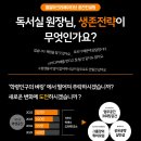 엘알마크리에이티브