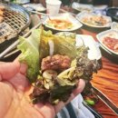 부천왕갈비 | 기본에 충실해서 더 무서운 곳 부천 맛집 부천 고기집 '동남골' 돼지왕갈비 솔직 후기