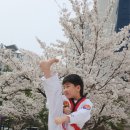 봄날태권도 이미지