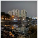 양현로178번길 이미지