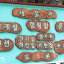 수동시온캠프 이미지