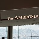 소노펠리체 델피노 | 속초여행- 울산바위 뷰가 예술인 소노펠리체 델피노 솔직 후기