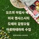 오즈테라피 이미지