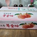 용천농원2 네이버블로그
