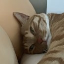 불광다올약국 이미지