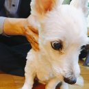 석진이네